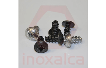 Screws for plastic