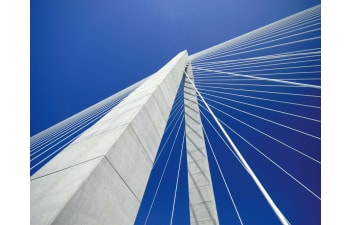 Intermediate Patenting Lines