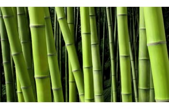 Chemical products for stainless steel tubes processing