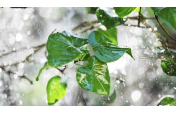 Chemical products for steel and stainless steel components treatment