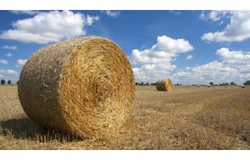 Surface treatment: high-quality chemicals for coil processing