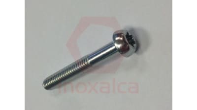 Custom design screws