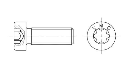 Tornillos de cabeza cilíndrica rebajada con hueco hexalobular