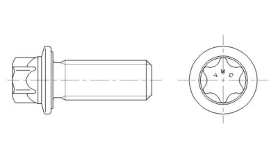 Hexalobular head screws with flange