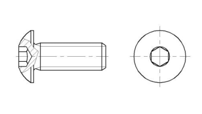 Hexagon socket button head screws