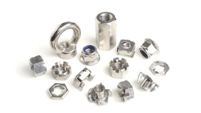 Stainless Nuts