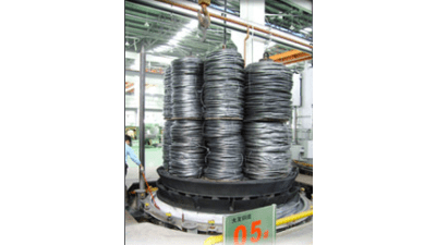 Wire annealing optimization system