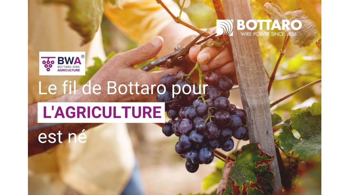 Bottaro lance BWA®, le fil galvanisé pour vergers et les vignobles