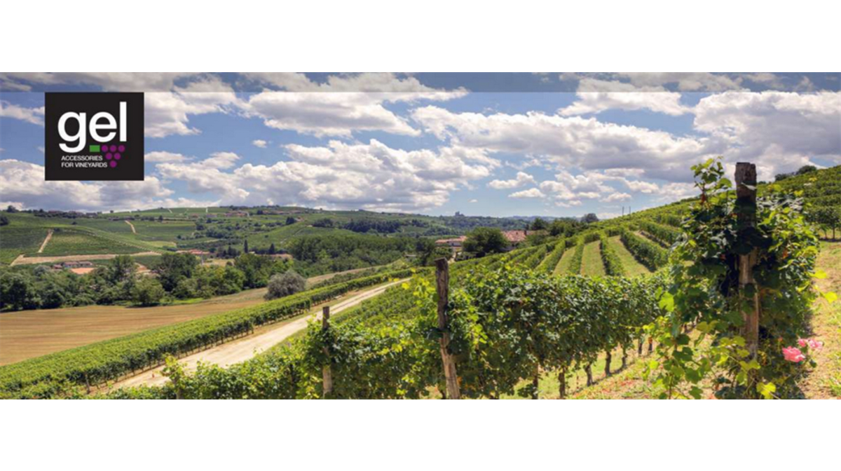 Accessori in filo per viticoltura, l’appuntamento con Gel è a Fieragricola 2022