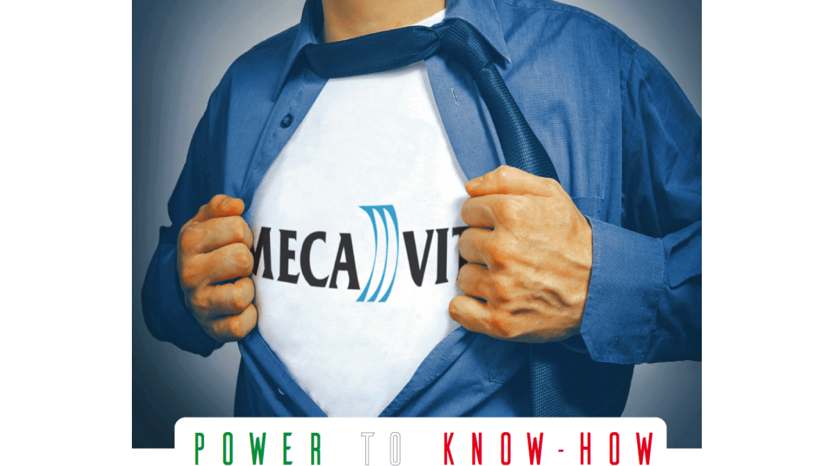 Il know-how di Mecavit, non solo capacità di produrre