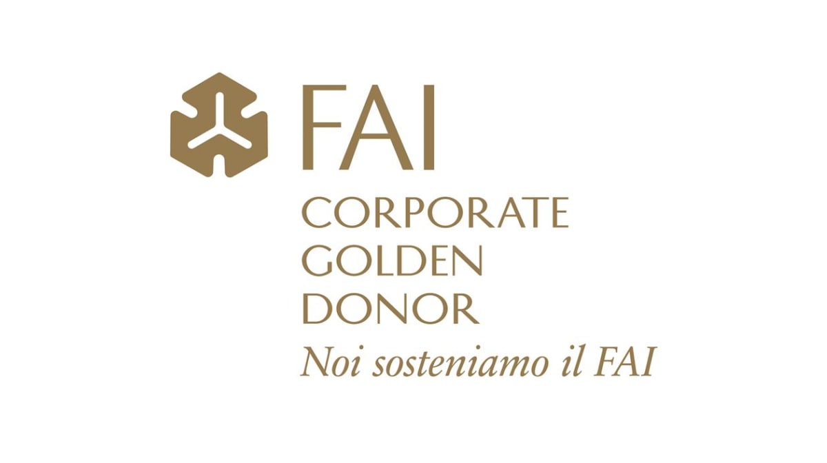 Specialinsert supports FAI 2020