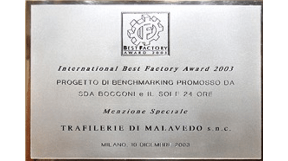 Trafilerie di Malavedo will wire you up