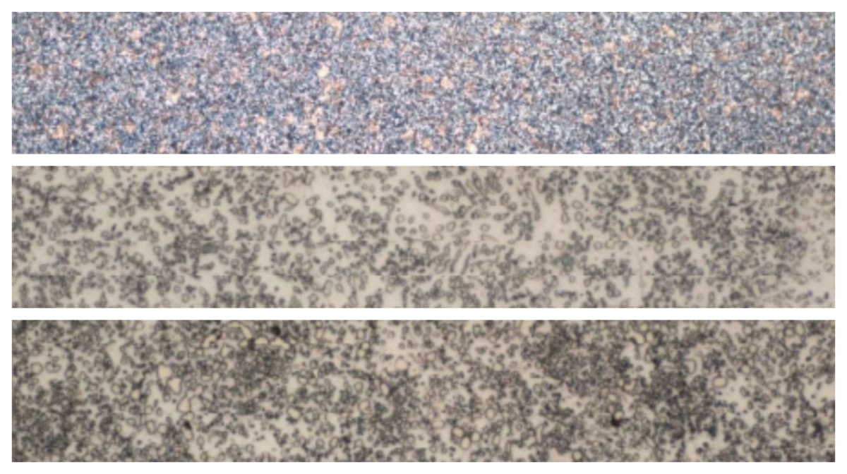 Trafileria Scerelli: sinonimo di qualità anche per i trattamenti termici