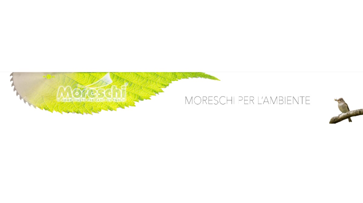 Moreschi cuts down on waste: sharpening experts at the forefront of sustainability