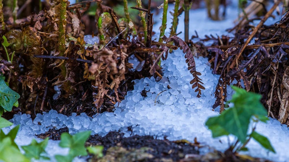 Ropes and cables for anti-hail systems by Blutref: guaranteed protection and reliability