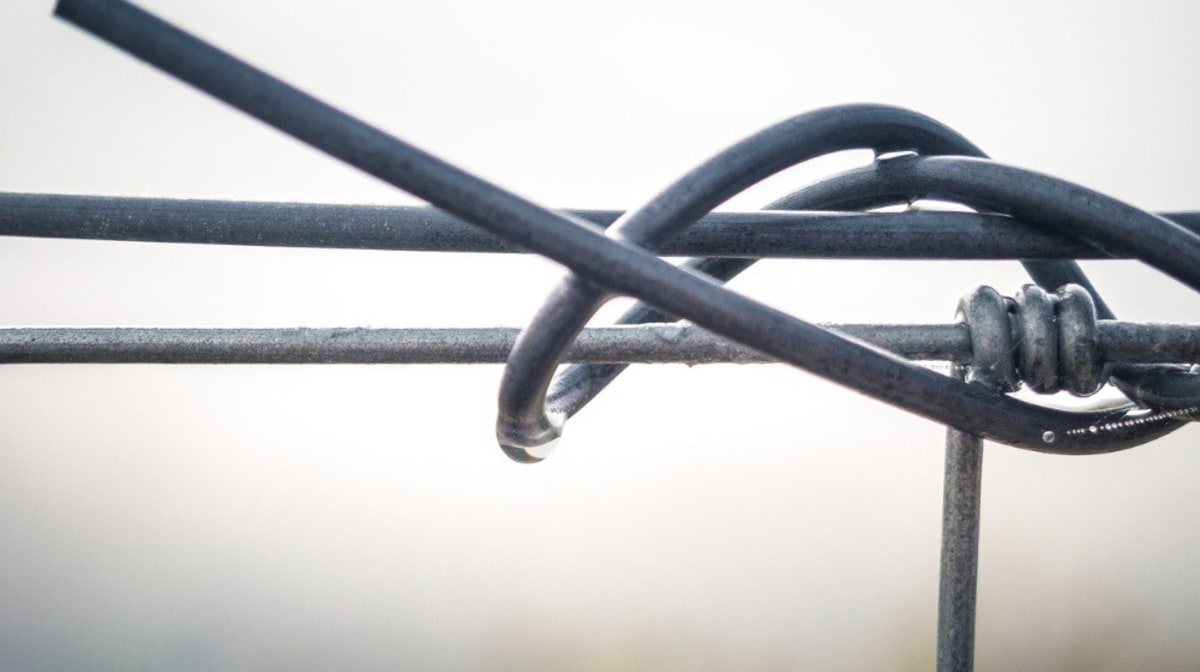 Drahtwerk Wagener on the wire industry’s ongoing uncertainty