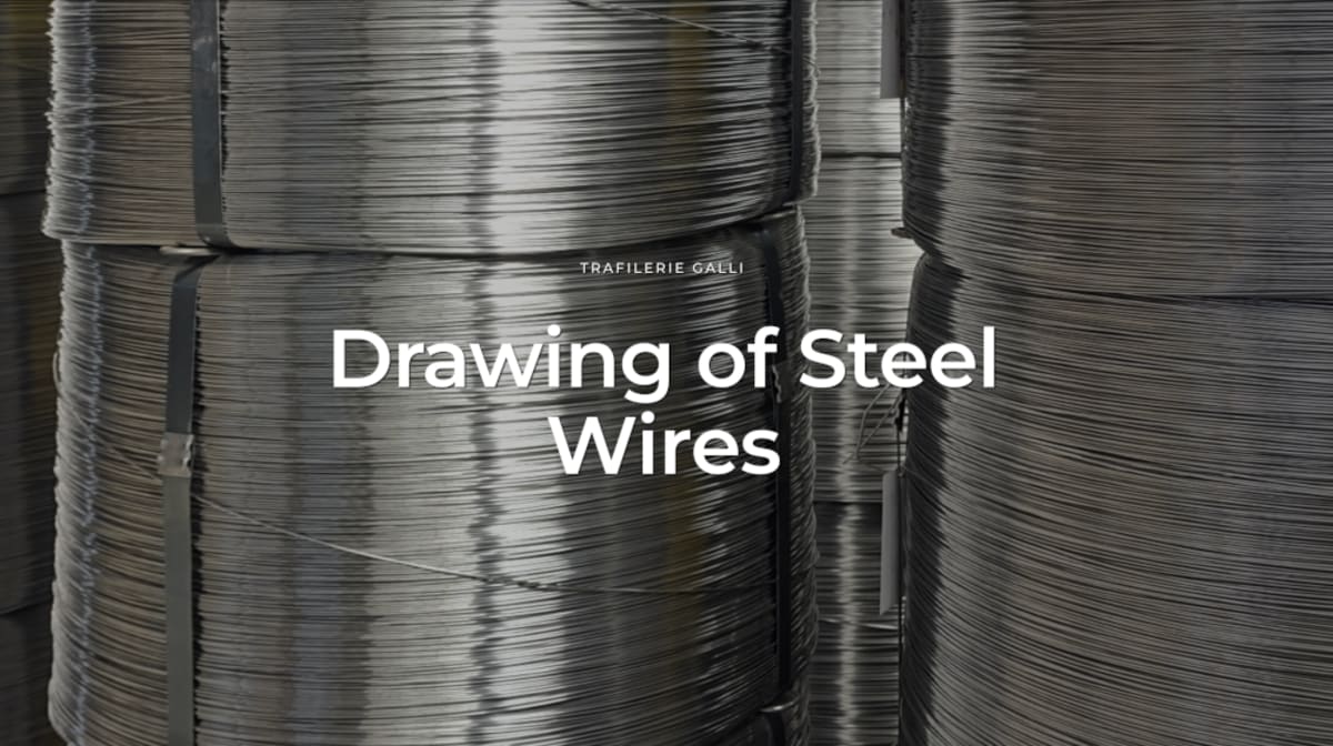 Trafilerie Galli unveils its new “polished to perfection” official website!