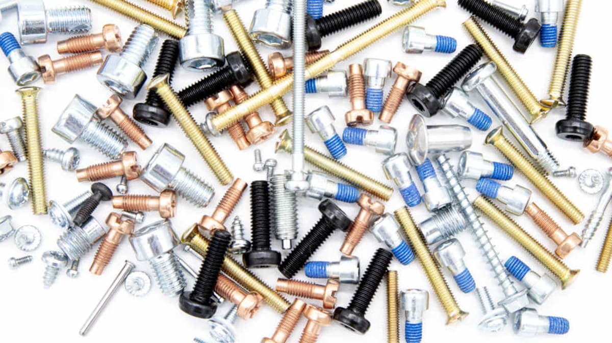 Viteria Fusani: dopo i traguardi del 2024, un nuovo anno all’insegna del successo