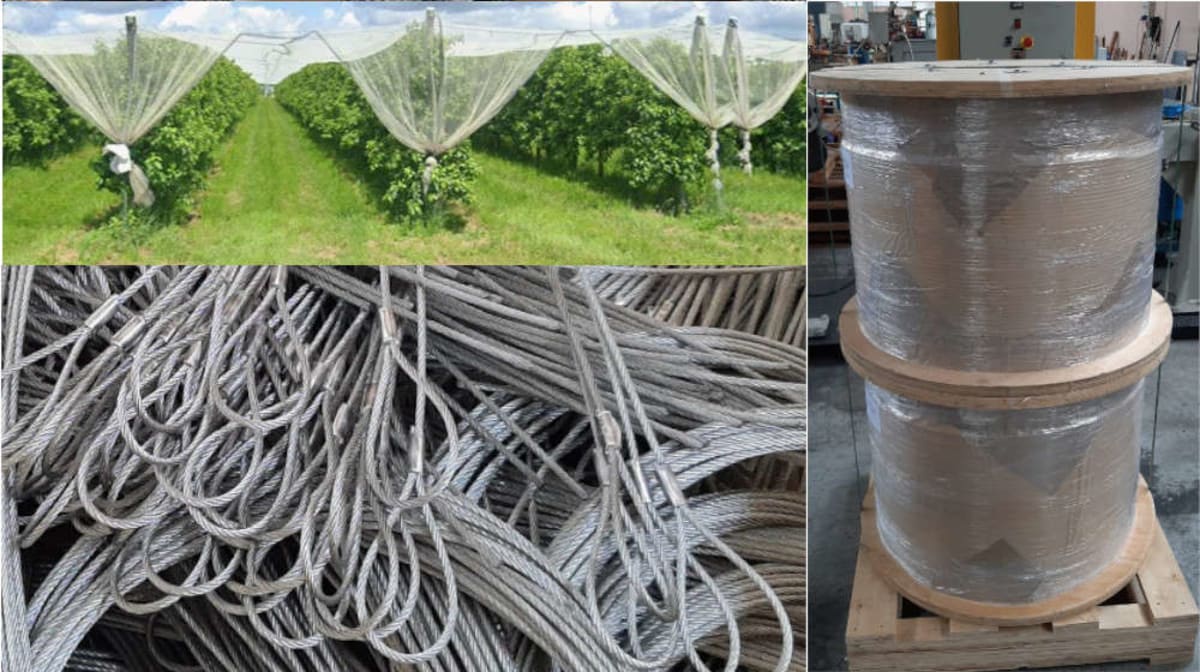 Protect your harvest with Blutref steel cables for anti-hail systems