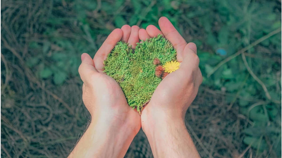 Guida Impianti on the road to ESG certification