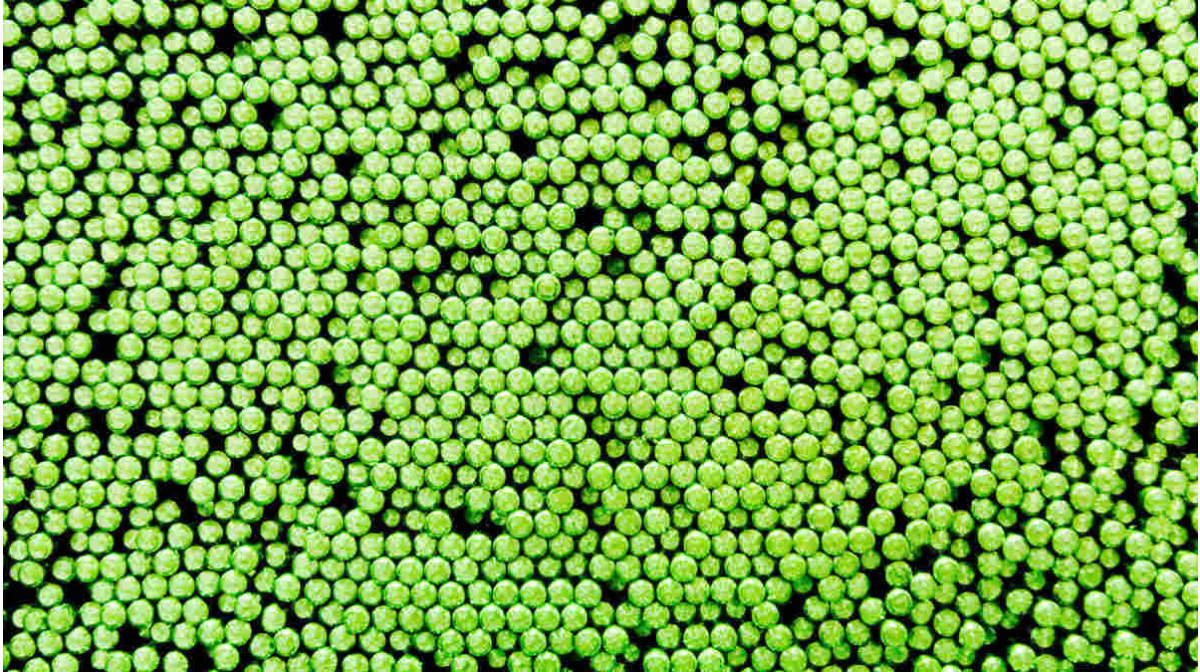 Trafileria Mauri scende in campo a Düsseldorf