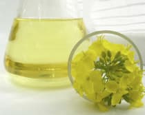 Yellow canola oil in a glass flask next to vibrant canola flowers in a small dish.