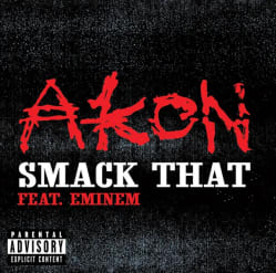 دانلود آهنگ Smack That از امینم و Akon
