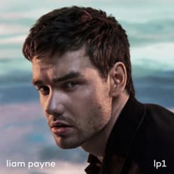 دانلود آهنگ Strip That Down از Liam Payne