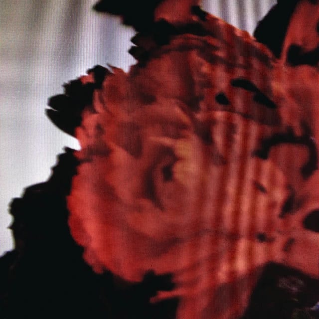 دانلود آهنگ All Of Me از جان لجند به همراه متن آهنگ و ترجمه اختصاصی