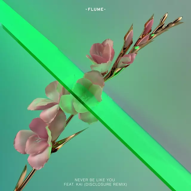 Flume از Never Be Like You (Disclosure Remix) دانلود آهنگ