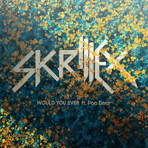 Skrillex از Would You Ever دانلود آهنگ