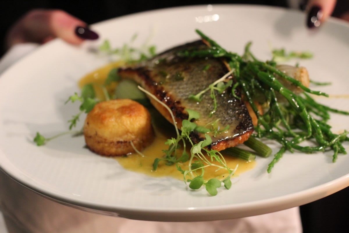 Seabass dish at North Bar and Kitchen, Leicester.