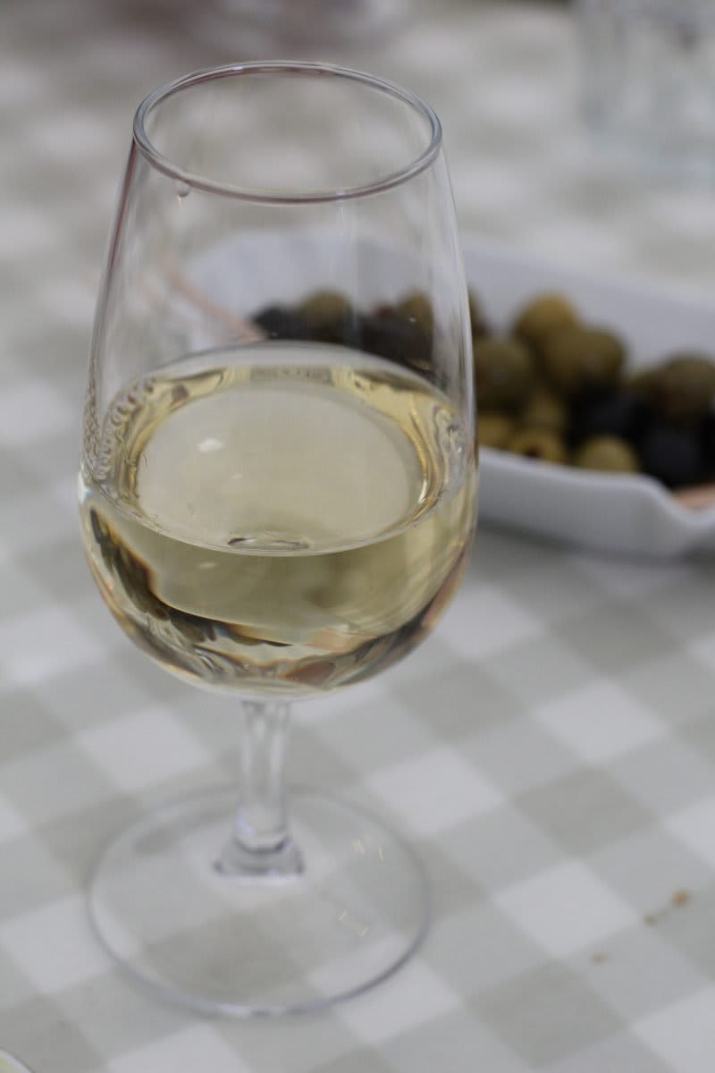 Piemontese Sauvignon Blanc Cortese DOC wine tasting
