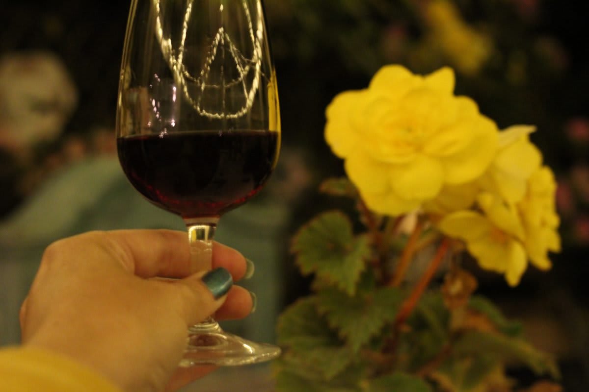 tasting barbera 2013 from Barolo in Piedmont