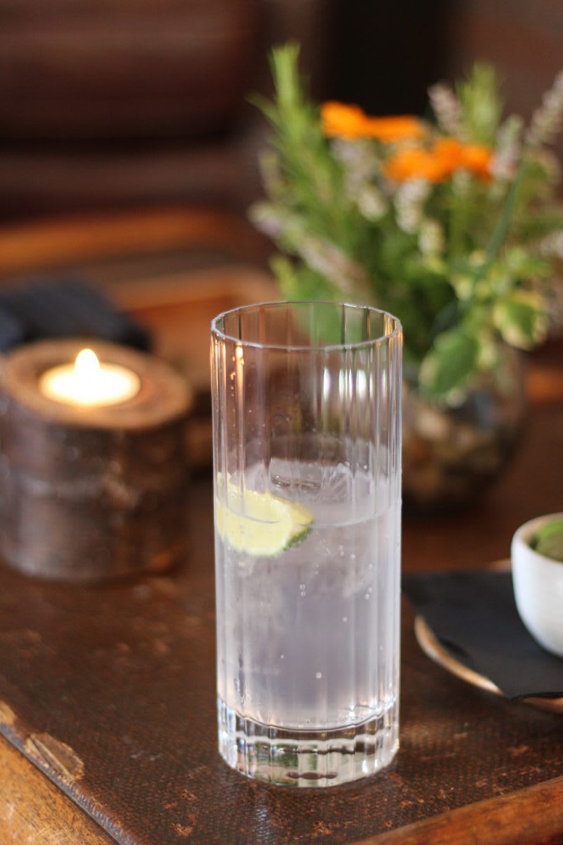 gin and tonic, monkey 47 gin