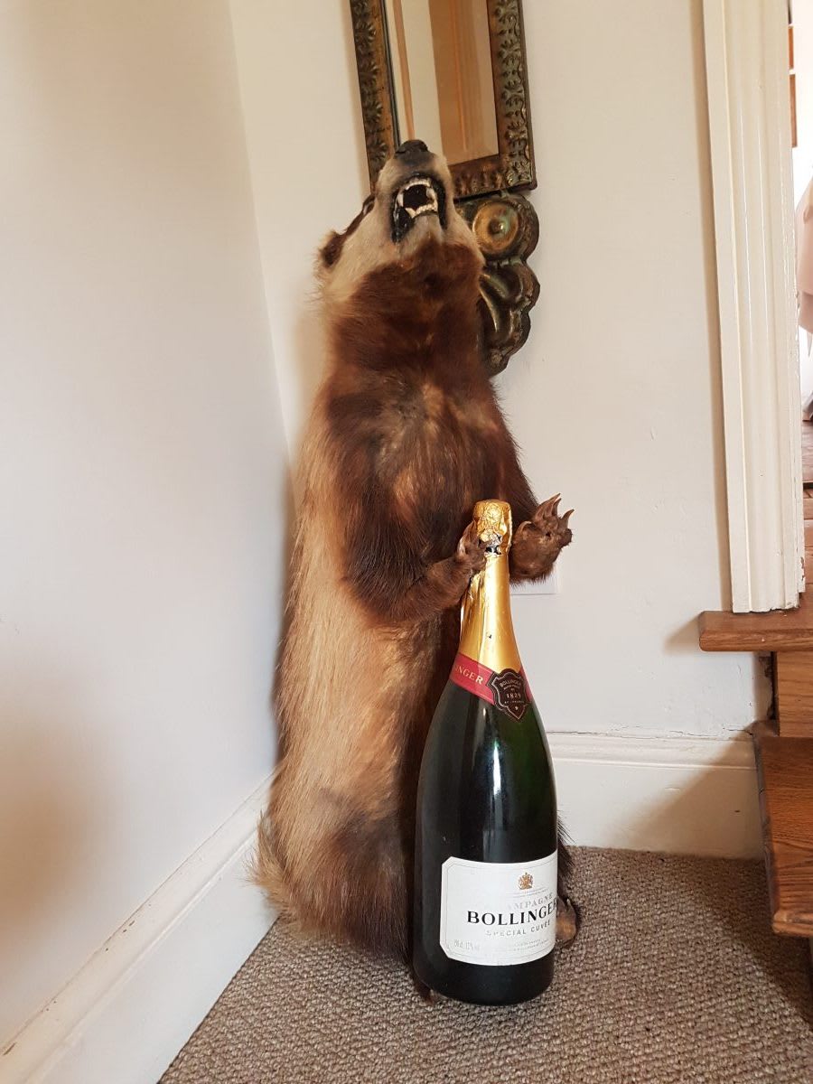 badger, bollinger, john's house