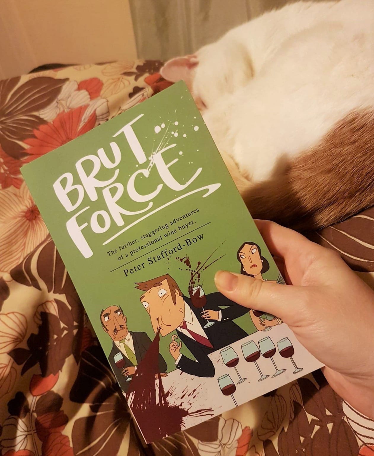 Brut Force by Peter Stafford-Bow