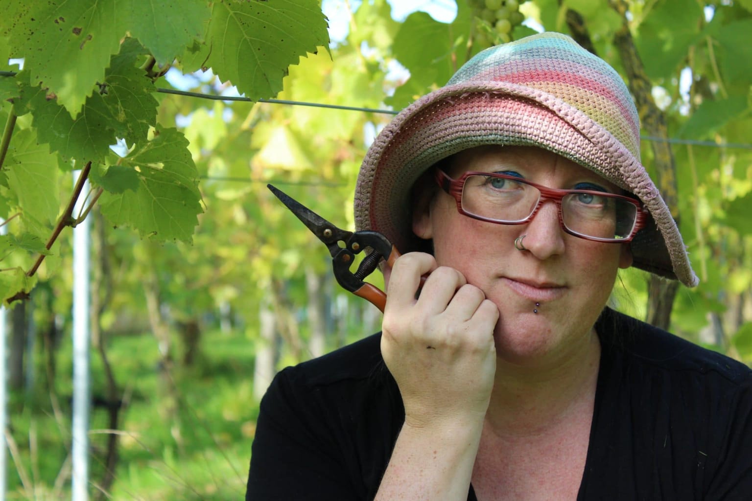 laura hadland wine professional leicestershire