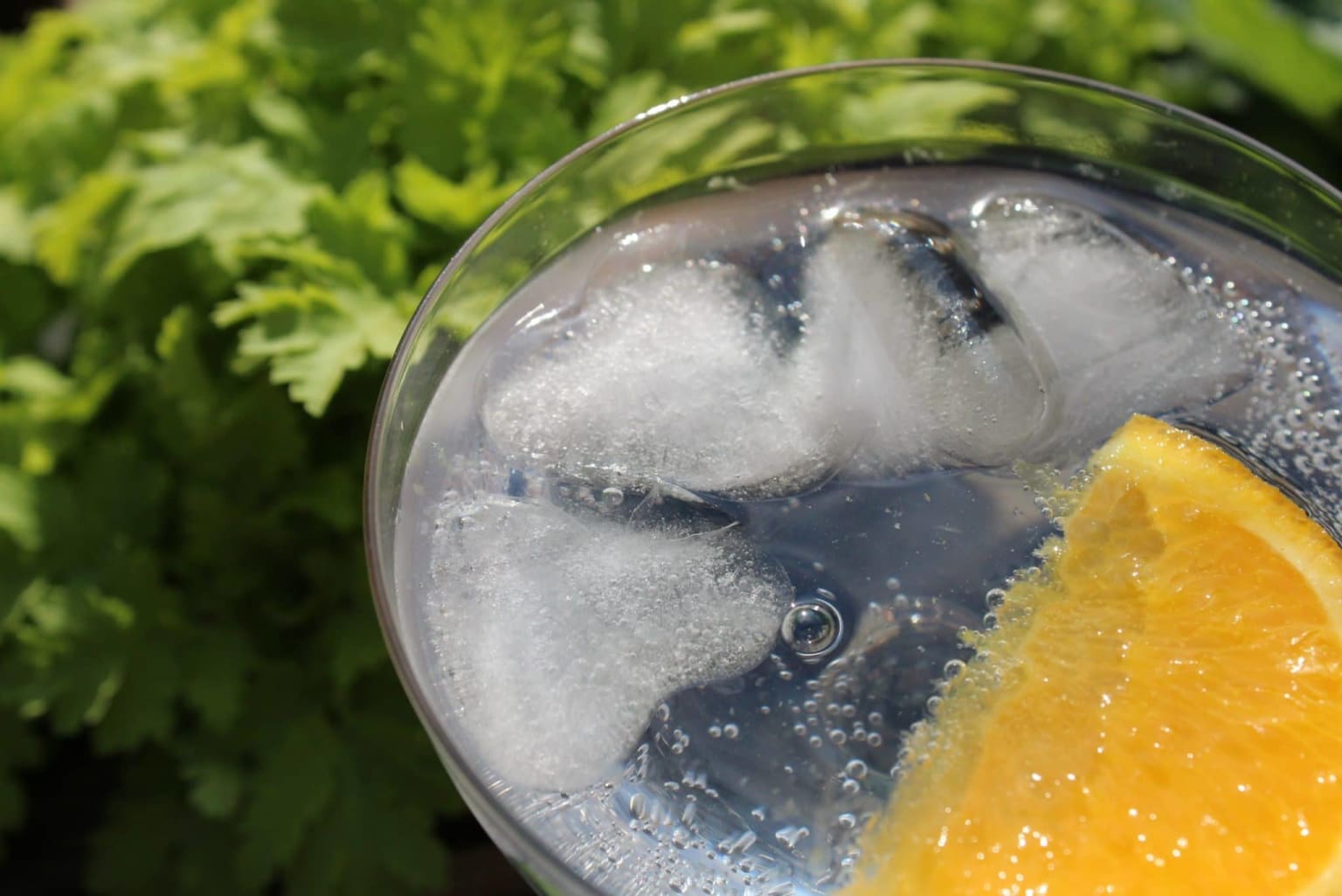 Skinny Tonic no calorie natural tonic water served with a slice of orange