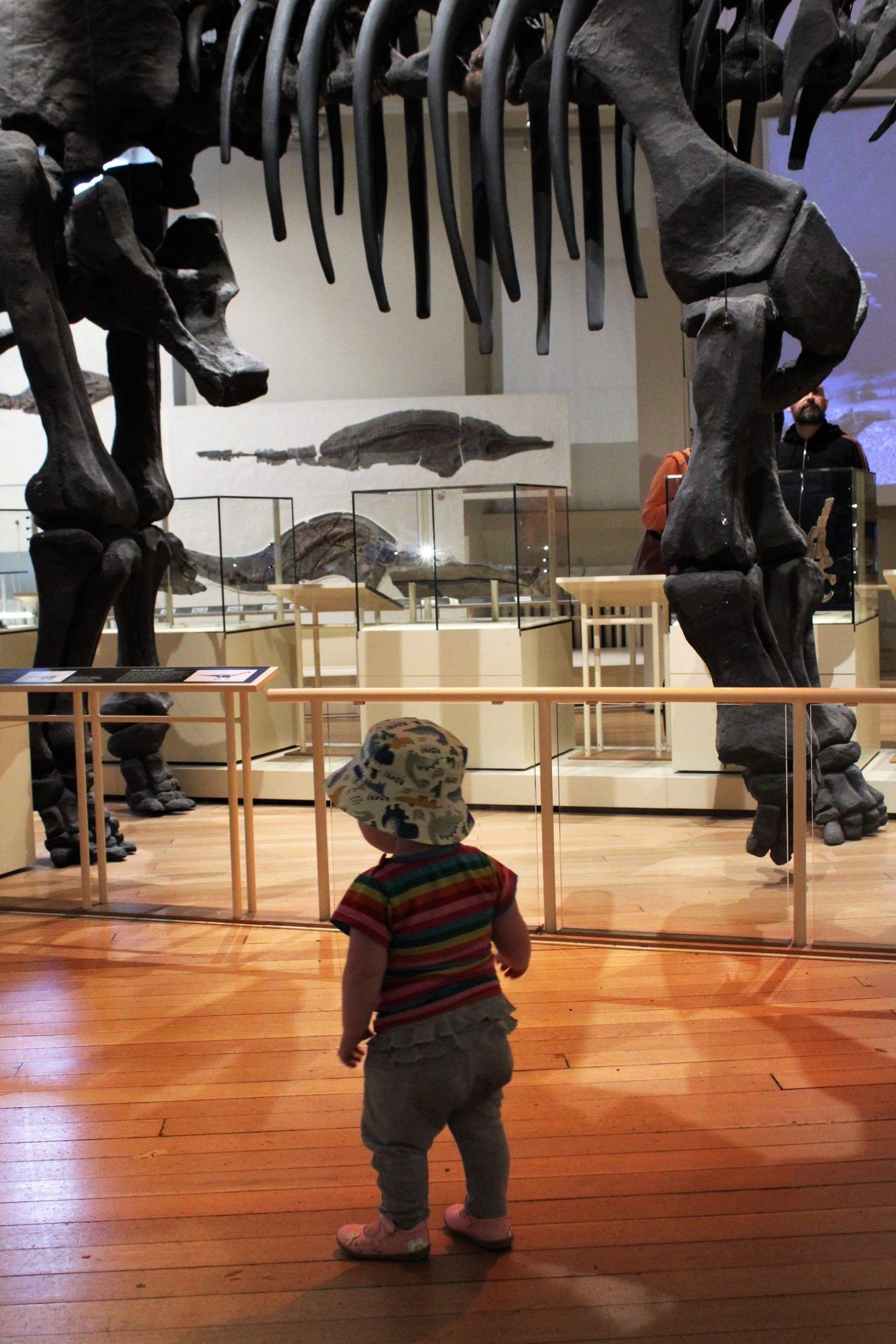 Baby visiting dinosaurs at New Walk Museum
