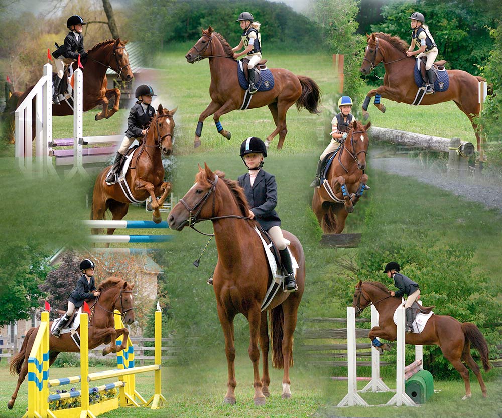 Equestrian