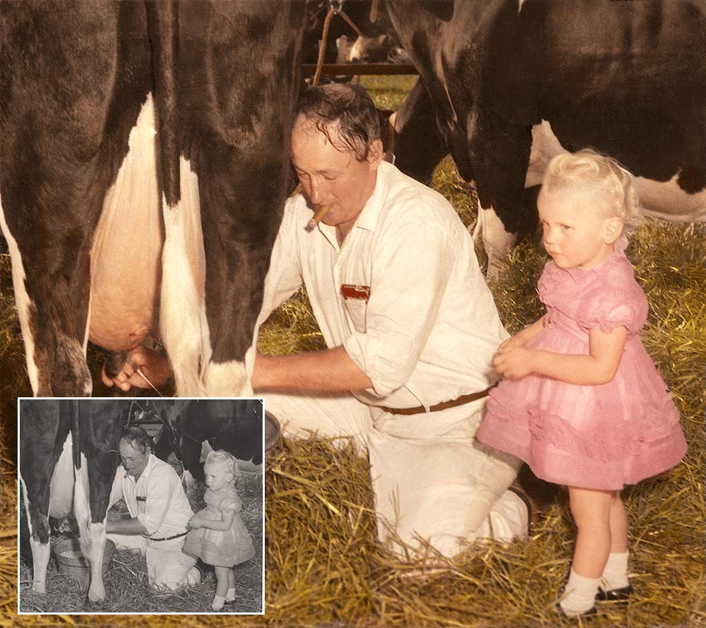 Milking the Cow