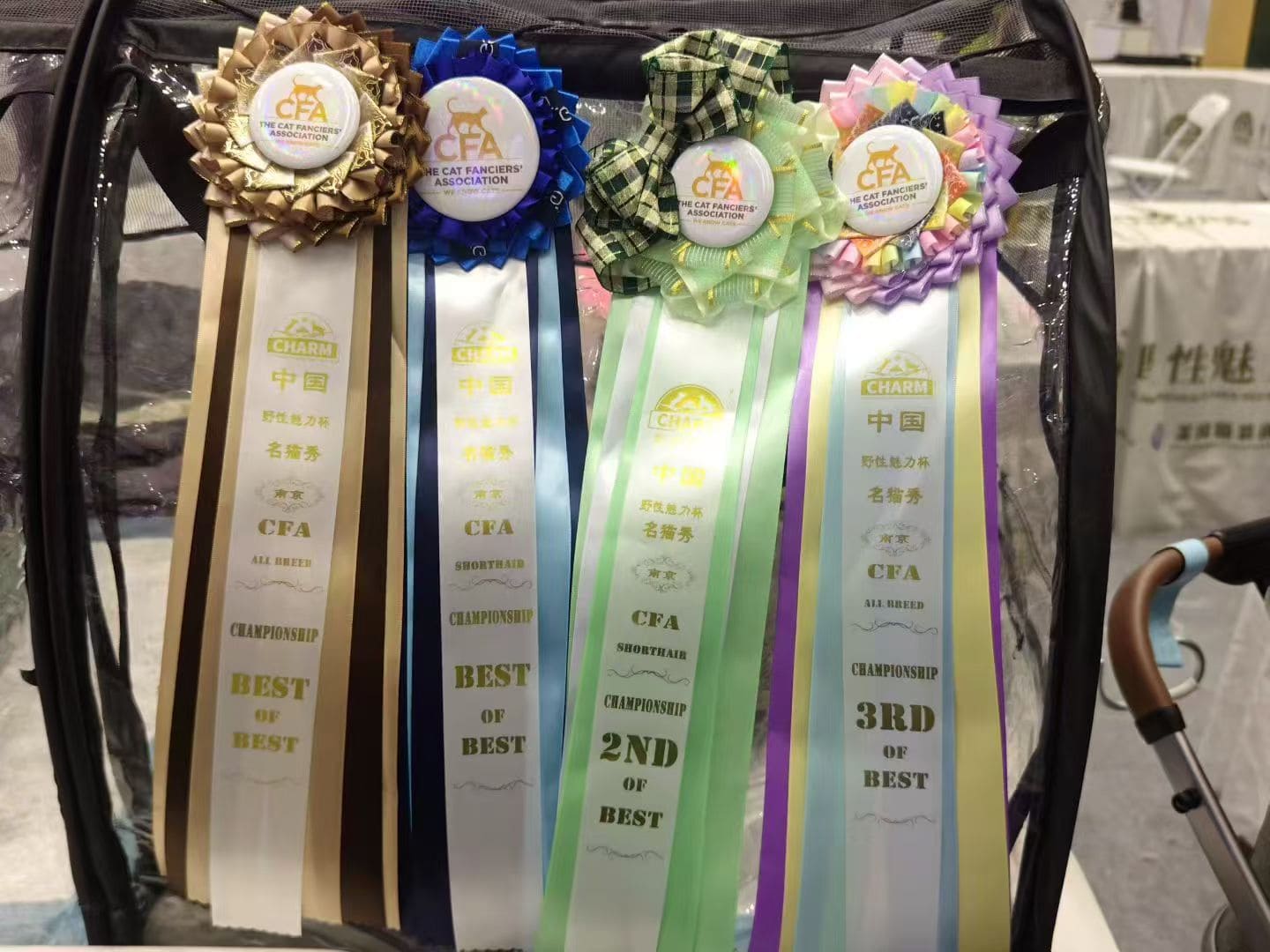 Winning photo