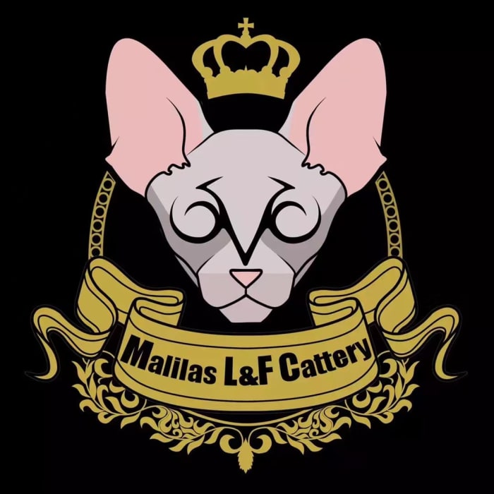 Cattery gallery