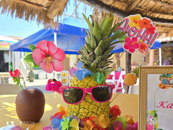 Fiestas infantiles - Celebraciones para niños - Marbella Princess Parties Tijuana