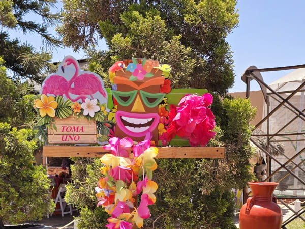 Fiestas infantiles - Celebraciones para niños - Marbella Princess Parties Tijuana