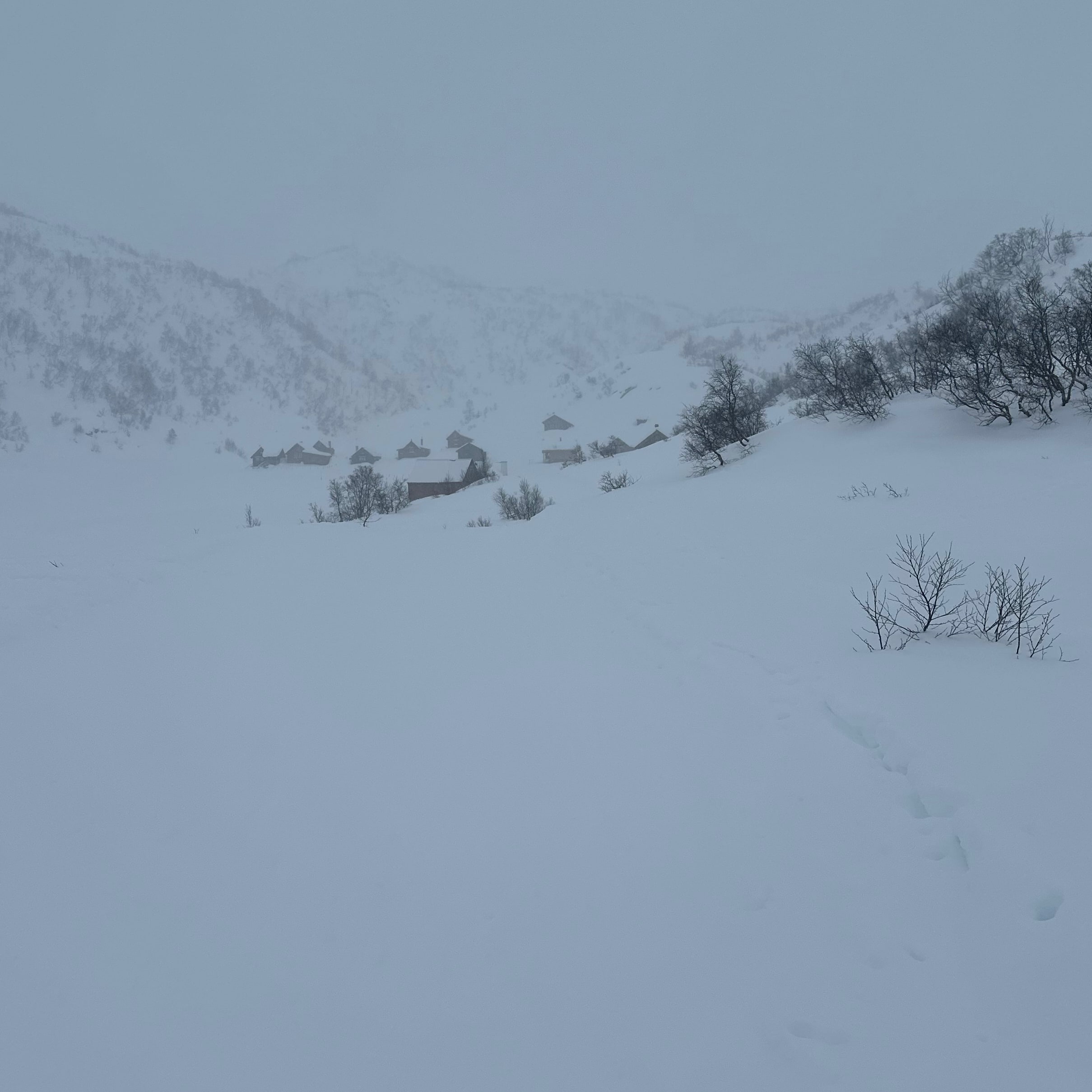 Jarle Jokiel Avatar photo