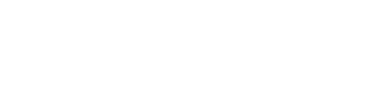 Vignita footer main logo