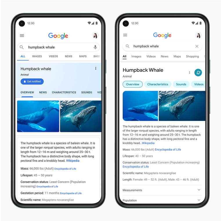 Google Search redesign January 2021