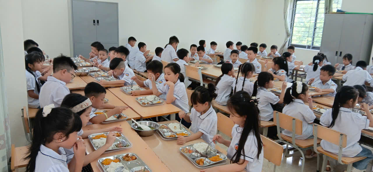 Hình ảnh bài viết